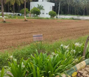 Brigade Slv Gardenia