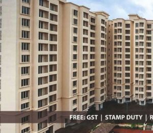 Panvelkar Stanford R1