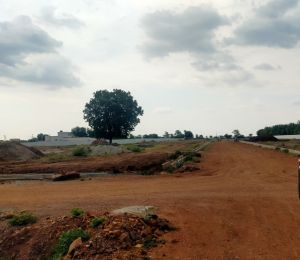Dharani