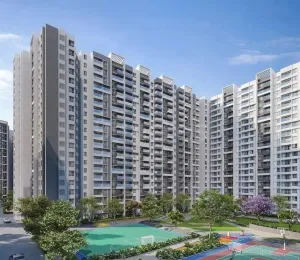 Century Liva