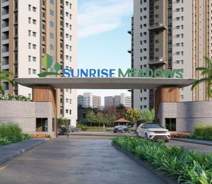 Sunrise Meadows