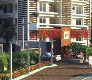 Empressia Elite 2