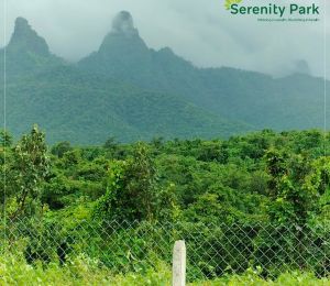 Serenity Park