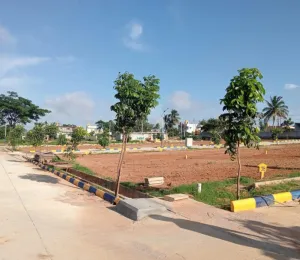 Nandhi Gardenia