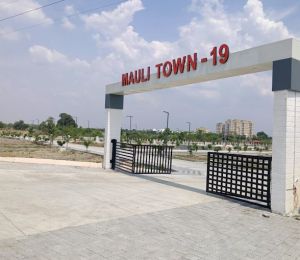 Mauli Town 19
