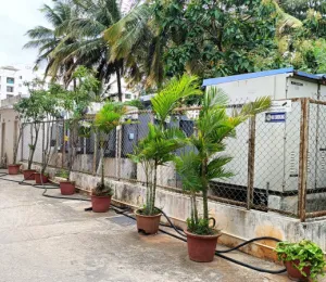 Radiant Jasmine Terrace