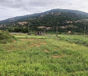 Rj Garden