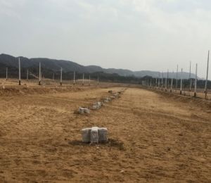 Veeshal City