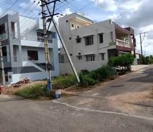 Bharathi Monarch