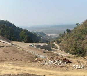 Bhogpur Green