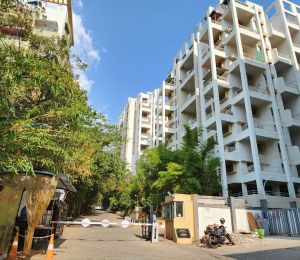 Camellia Apartment