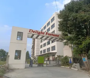 Delight Fortune
