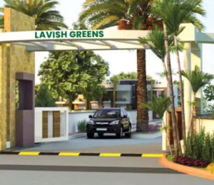 E3 Lavish Green