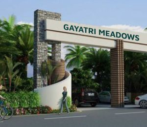 Gayatri Meadows