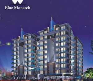 Blue Monarch