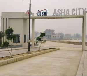 Asha City