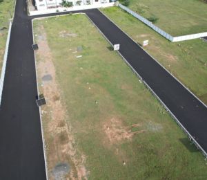 Diya Avenue