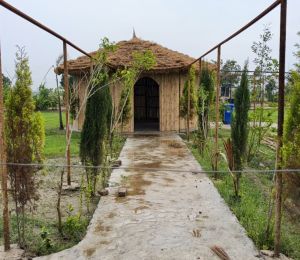 Lotus Farms
