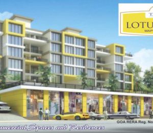 Lotus Park