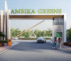 Ambika Green