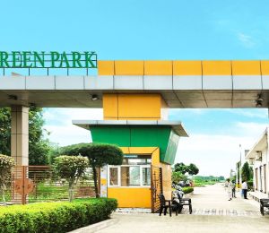 Green Park