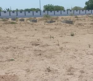 Bageshree Township