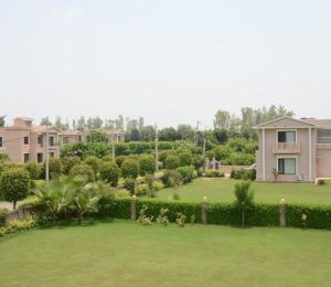 Mansha Greens