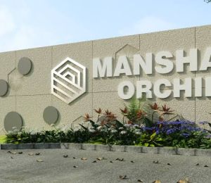Mansha Orchid
