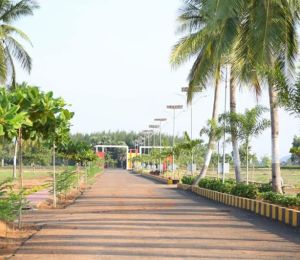 Amaravati Green City