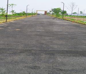 Yamuna Green