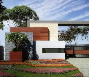 Garden And Skies