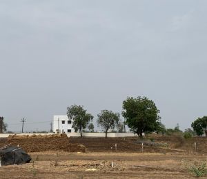 Aaradhya Park