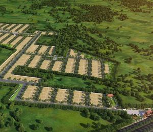 Aerotropolis