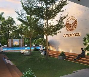 Ambience Nature
