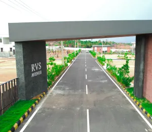 Rvs Avenue