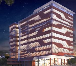 Shreeji Gujral Arcade