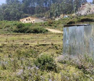 Kodai Green Space