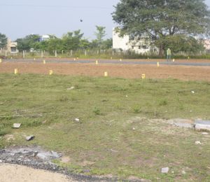 Bavisha Garden