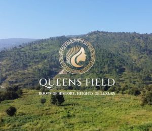 Queens Field