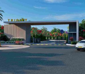Tricity Reserve
