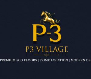 P3 Village