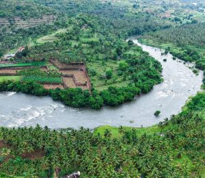Amaya River Retreat