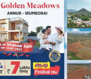 Golden Meadows