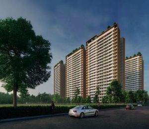 Kohinoor Woodshire