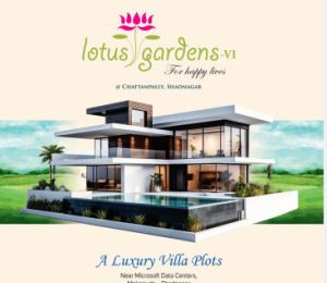 Lotus Garden