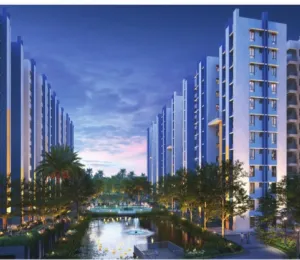 Dtc Good Earth