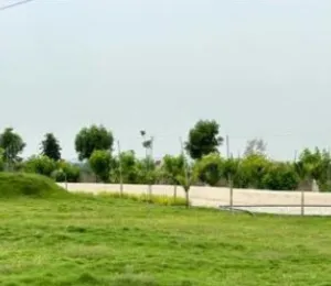 Mauli Town 24
