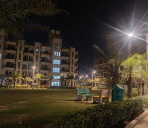 Jop Palms