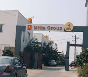 Mitta Iris