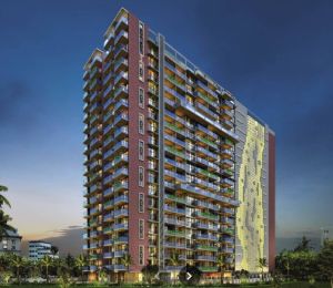 Ruparel Panache